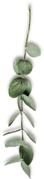 decorative leaf
